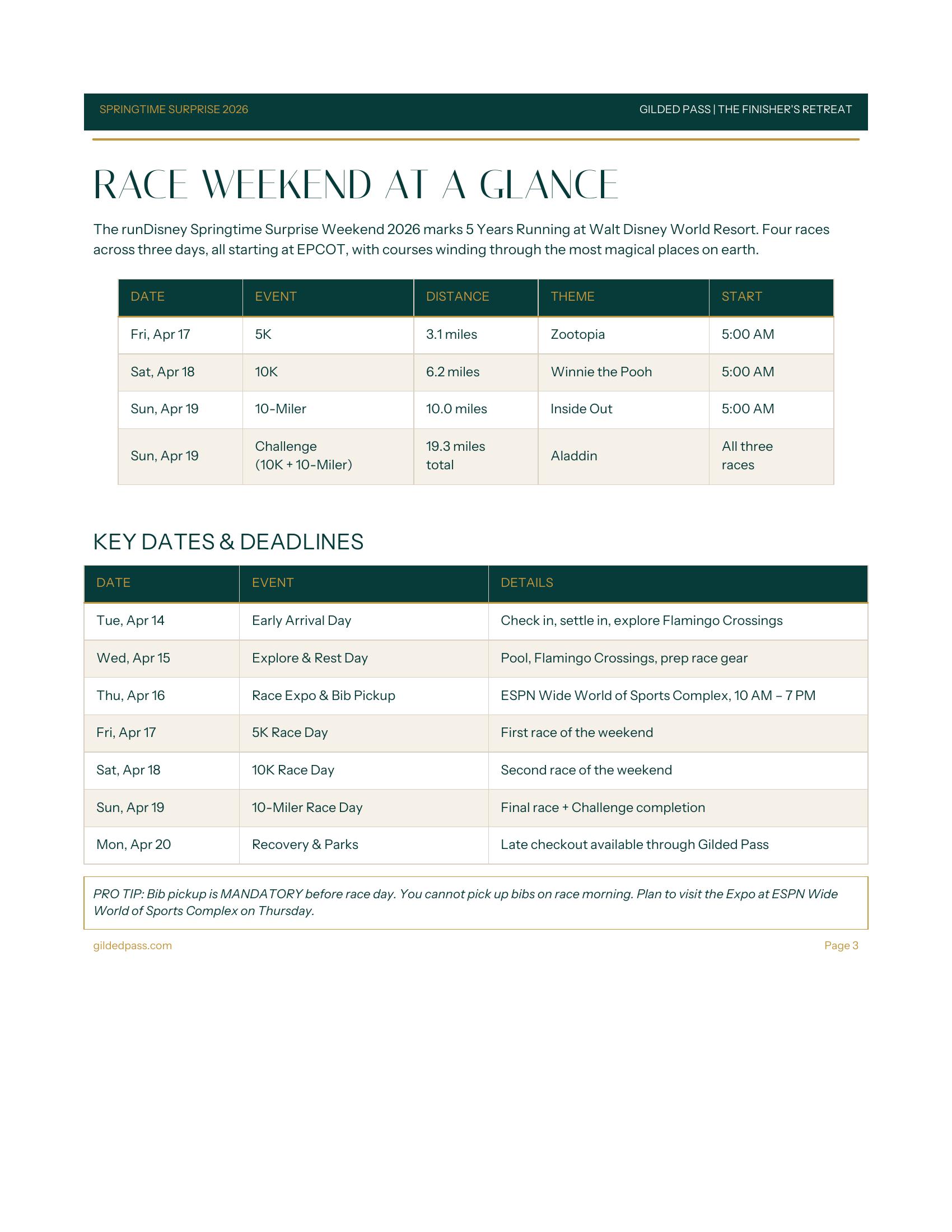 Playbook preview page 3